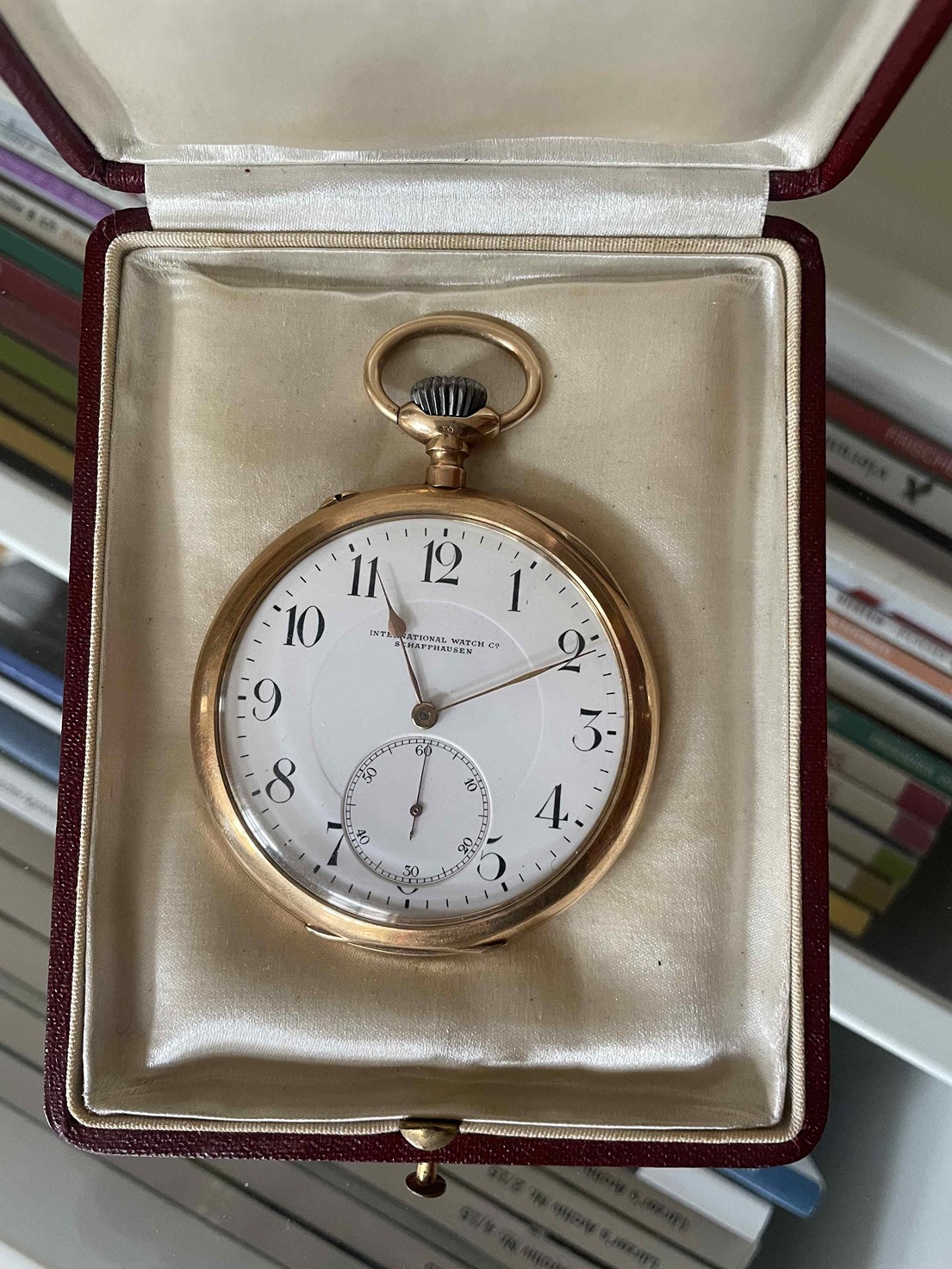 IWC Schaffhausen web 2